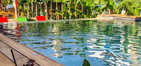 54D504C1-1F5F-477F-8FCD-5F2B5050D081